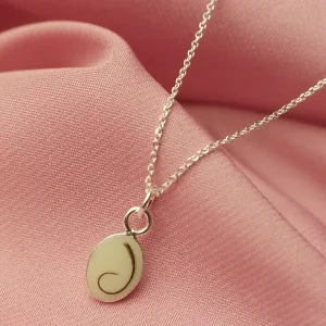 Colgante de leche materna y pelo de bebé